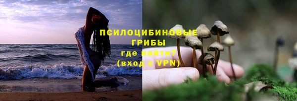 ALPHA PVP Карпинск