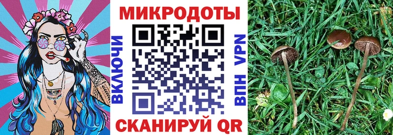 Купить где  Городовиковск  Галлюциногенные грибы ЛСД 